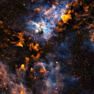 Meet your Posher, Traye